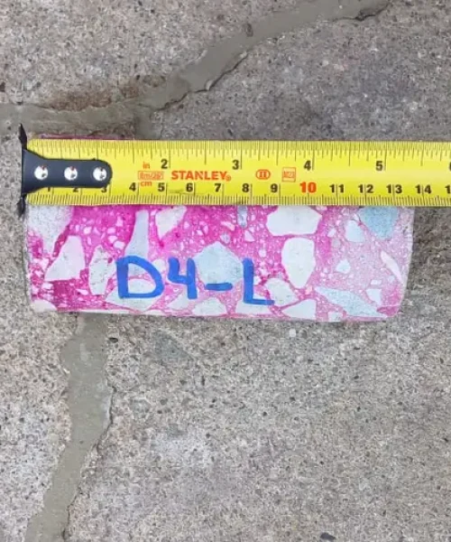 WhatsApp Image 2025-03-11 at 12.57.09 PM (1)